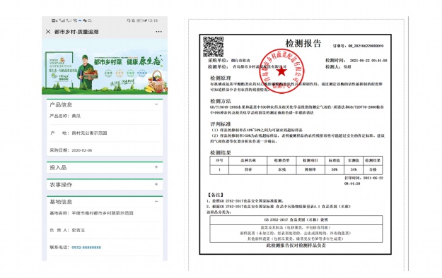 项目配置管理